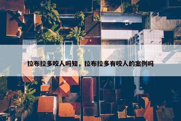 拉布拉多咬人吗知，拉布拉多有咬人的案例吗