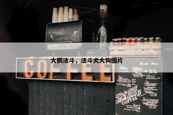 大鹏法斗，法斗犬大狗图片