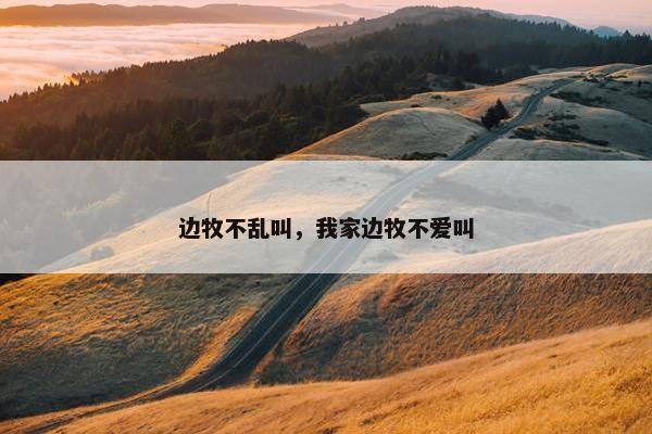 边牧不乱叫，我家边牧不爱叫