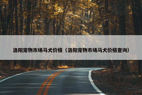 洛阳宠物市场马犬价格（洛阳宠物市场马犬价格查询）