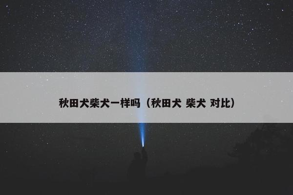 秋田犬柴犬一样吗（秋田犬 柴犬 对比）