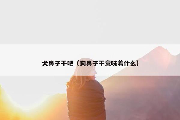 犬鼻子干吧（狗鼻子干意味着什么）
