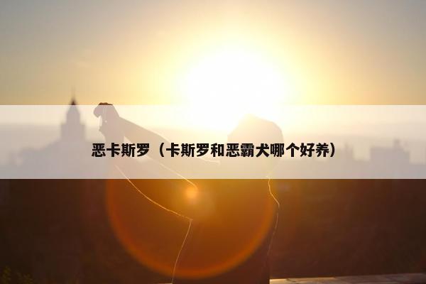 恶卡斯罗（卡斯罗和恶霸犬哪个好养）