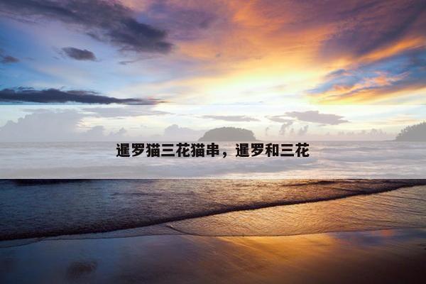 暹罗猫三花猫串，暹罗和三花
