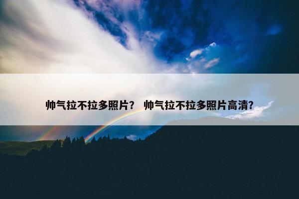 帅气拉不拉多照片？ 帅气拉不拉多照片高清？