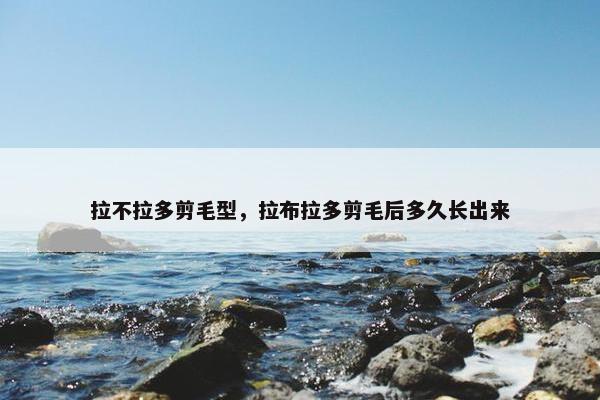 拉不拉多剪毛型，拉布拉多剪毛后多久长出来