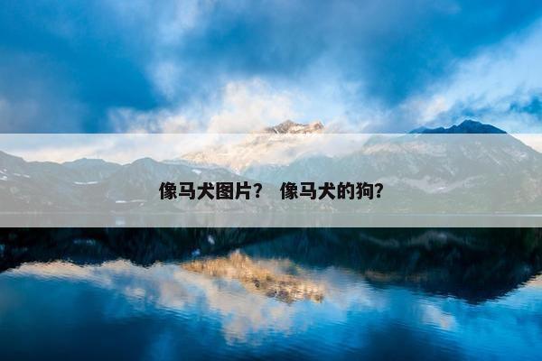 像马犬图片？ 像马犬的狗？