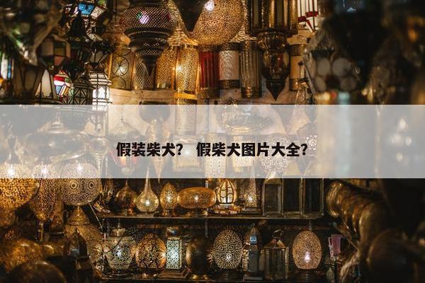 假装柴犬？ 假柴犬图片大全？