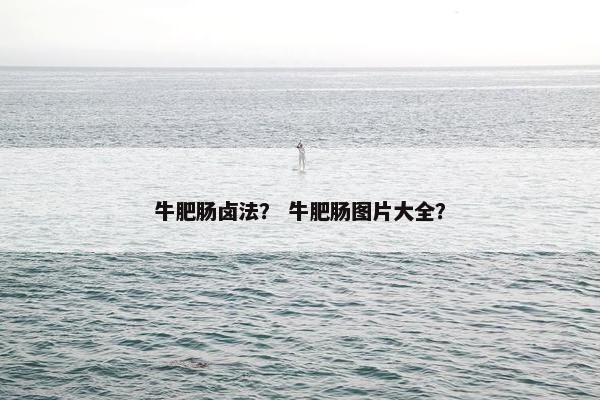 牛肥肠卤法？ 牛肥肠图片大全？