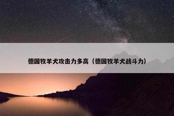 德国牧羊犬攻击力多高（德国牧羊犬战斗力）