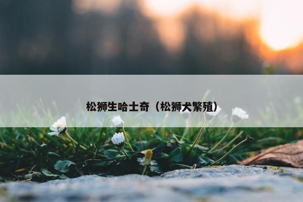 松狮生哈士奇（松狮犬繁殖）