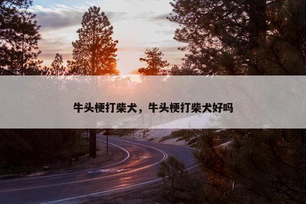 牛头梗打柴犬，牛头梗打柴犬好吗