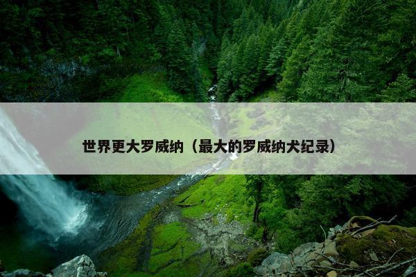 世界更大罗威纳（最大的罗威纳犬纪录）