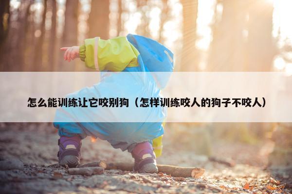 怎么能训练让它咬别狗（怎样训练咬人的狗子不咬人）
