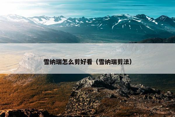 雪纳瑞怎么剪好看（雪纳瑞剪法）