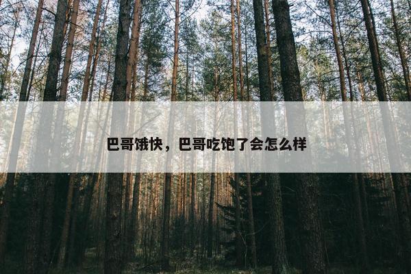 巴哥饿快，巴哥吃饱了会怎么样