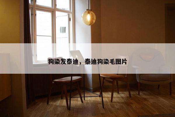 狗染发泰迪，泰迪狗染毛图片