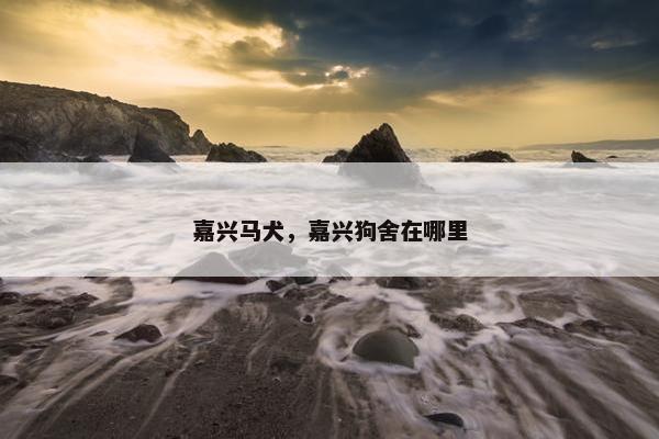 嘉兴马犬，嘉兴狗舍在哪里