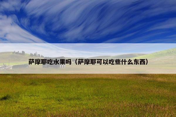 萨摩耶吃水果吗（萨摩耶可以吃些什么东西）