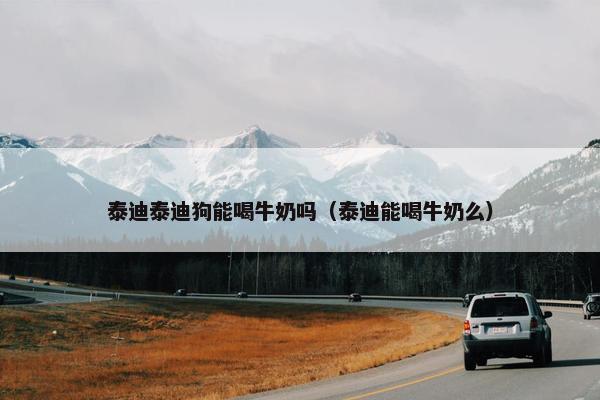 泰迪泰迪狗能喝牛奶吗（泰迪能喝牛奶么）