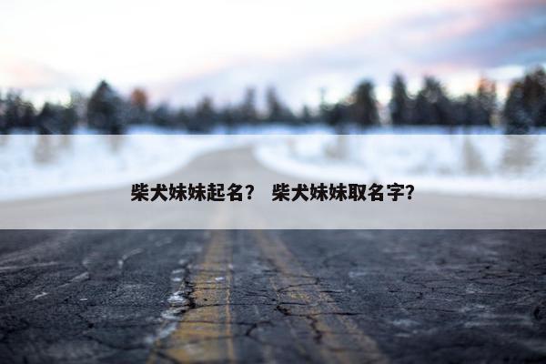 柴犬妹妹起名？ 柴犬妹妹取名字？