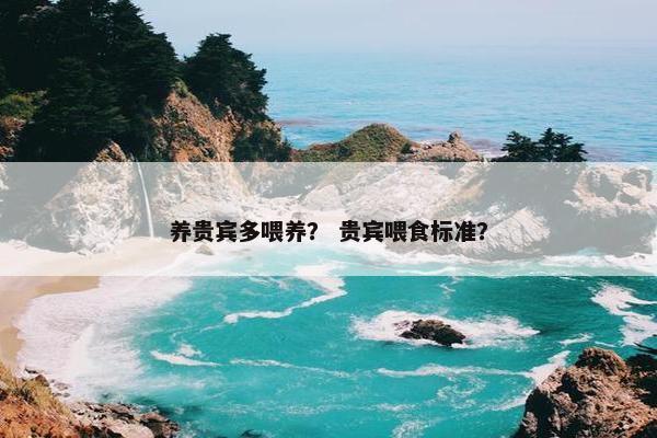 养贵宾多喂养？ 贵宾喂食标准？