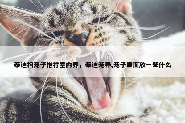泰迪狗笼子推荐室内养，泰迪笼养,笼子里面放一些什么