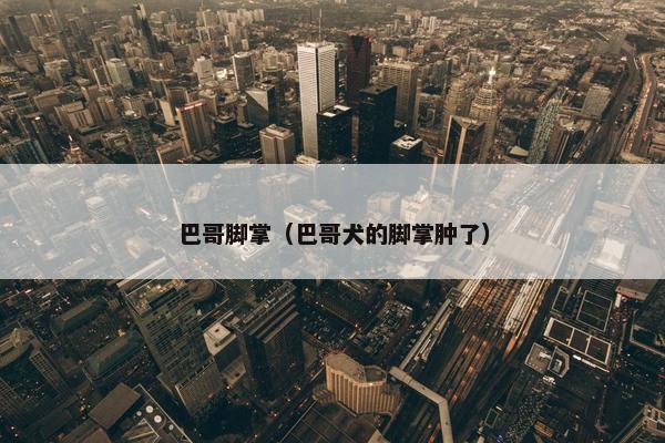 巴哥脚掌（巴哥犬的脚掌肿了）