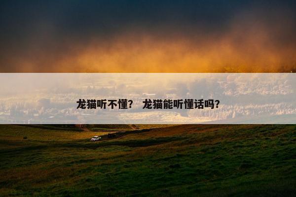 龙猫听不懂？ 龙猫能听懂话吗？