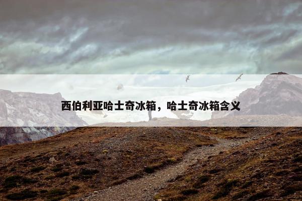 西伯利亚哈士奇冰箱，哈士奇冰箱含义