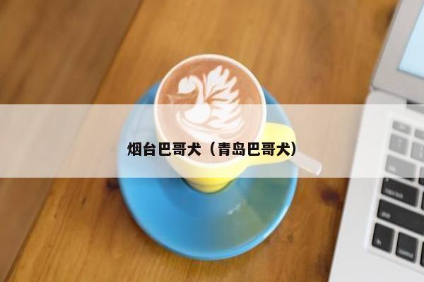 烟台巴哥犬（青岛巴哥犬）
