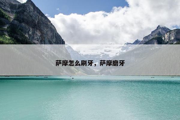 萨摩怎么刷牙，萨摩磨牙