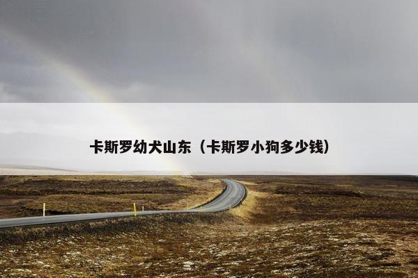 卡斯罗幼犬山东（卡斯罗小狗多少钱）