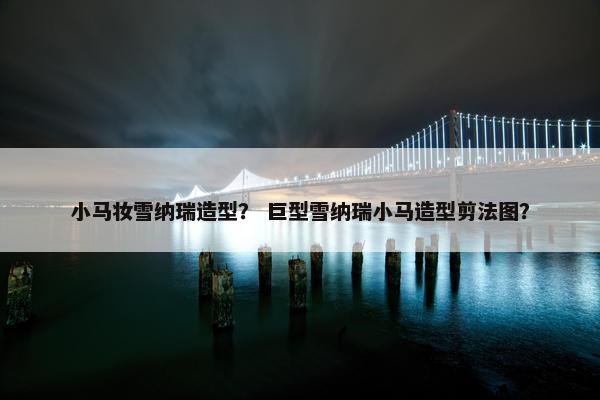 小马妆雪纳瑞造型？ 巨型雪纳瑞小马造型剪法图？
