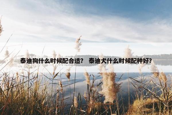 泰迪狗什么时候配合适？ 泰迪犬什么时候配种好？