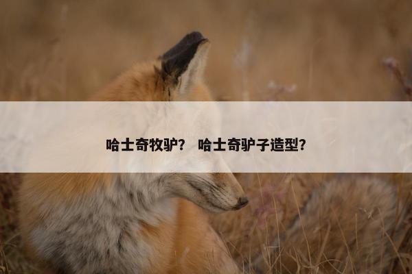 哈士奇牧驴？ 哈士奇驴子造型？