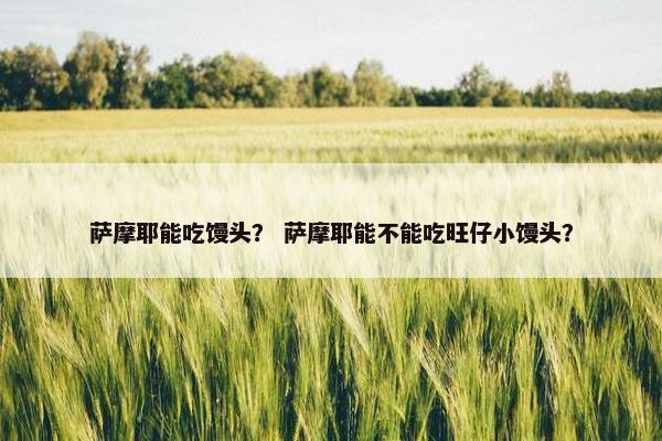 萨摩耶能吃馒头？ 萨摩耶能不能吃旺仔小馒头？
