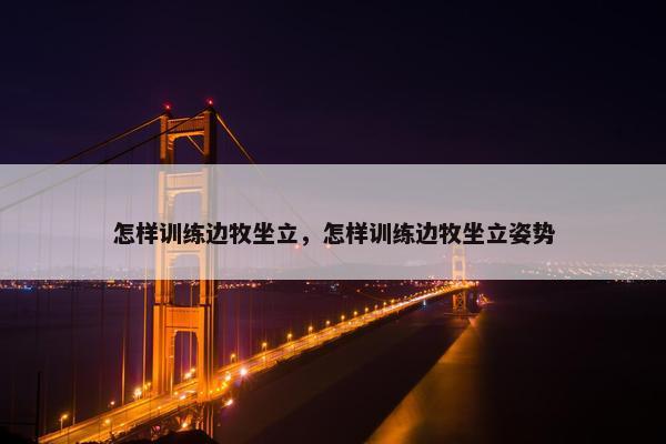 怎样训练边牧坐立，怎样训练边牧坐立姿势