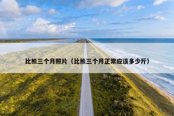 比熊三个月照片（比熊三个月正常应该多少斤）