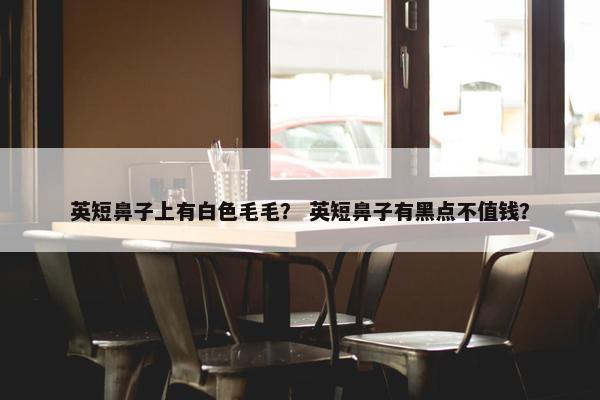 英短鼻子上有白色毛毛？ 英短鼻子有黑点不值钱？