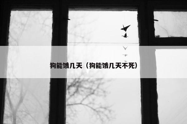 狗能饿几天（狗能饿几天不死）