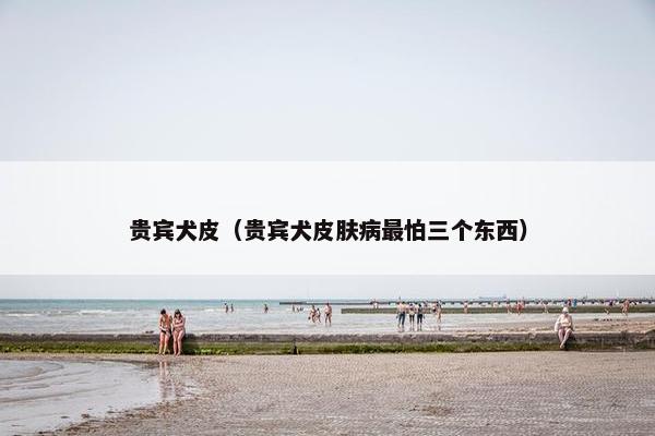 贵宾犬皮（贵宾犬皮肤病最怕三个东西）