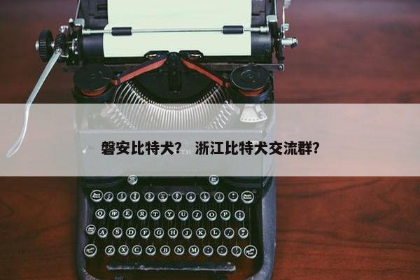 磐安比特犬？ 浙江比特犬交流群？