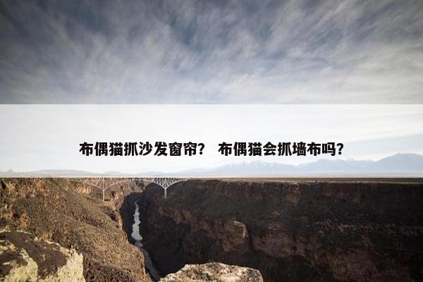 布偶猫抓沙发窗帘？ 布偶猫会抓墙布吗？