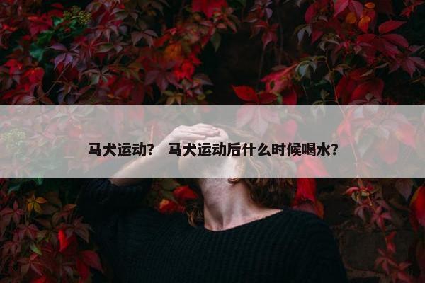 马犬运动？ 马犬运动后什么时候喝水？