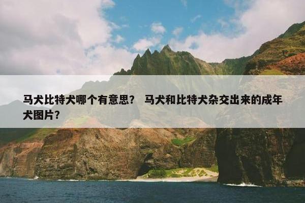 马犬比特犬哪个有意思？ 马犬和比特犬杂交出来的成年犬图片？