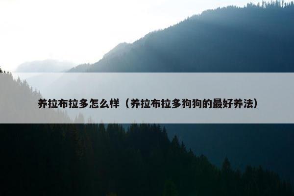 养拉布拉多怎么样（养拉布拉多狗狗的最好养法）