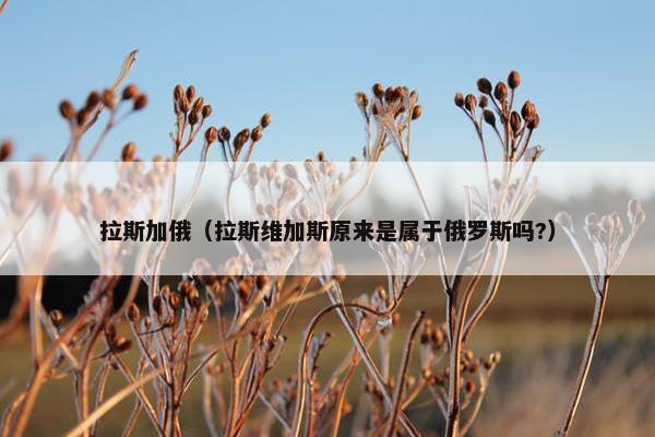 拉斯加俄（拉斯维加斯原来是属于俄罗斯吗?）