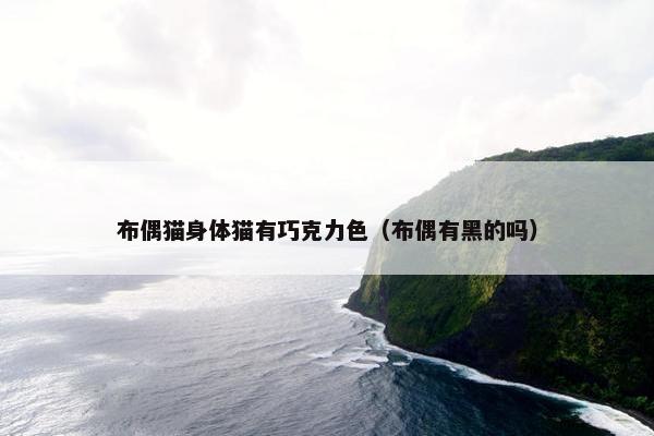 布偶猫身体猫有巧克力色（布偶有黑的吗）