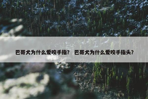 巴哥犬为什么爱咬手指？ 巴哥犬为什么爱咬手指头？